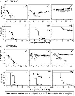 Protective role of host complement system in Aspergillus fumigatus infection
